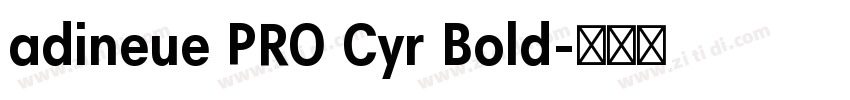 adineue PRO Cyr Bold字体转换